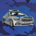 Blue Police