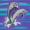 Shiny Dolphins
